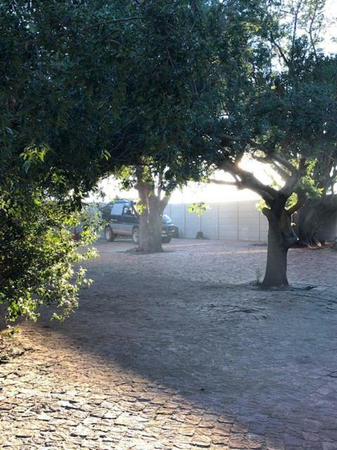 The Vineyard East Otel Durbanville Dış mekan fotoğraf